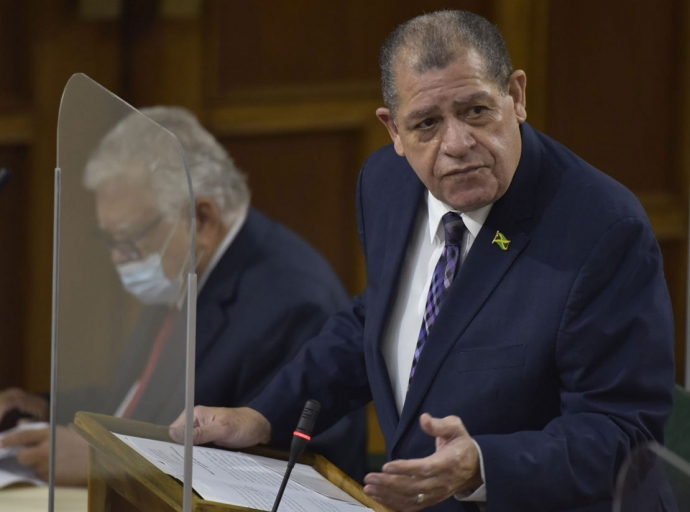 JAMAICA | House Approves Amendments to Companies Act