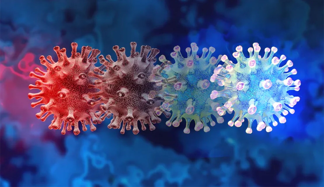 The hunt for coronavirus variants: how the new one was found and what we know so far