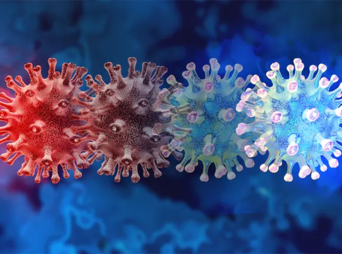The hunt for coronavirus variants: how the new one was found and what we know so far