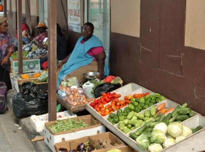 BARBADOS to pass Vendor-Friendly Legislation