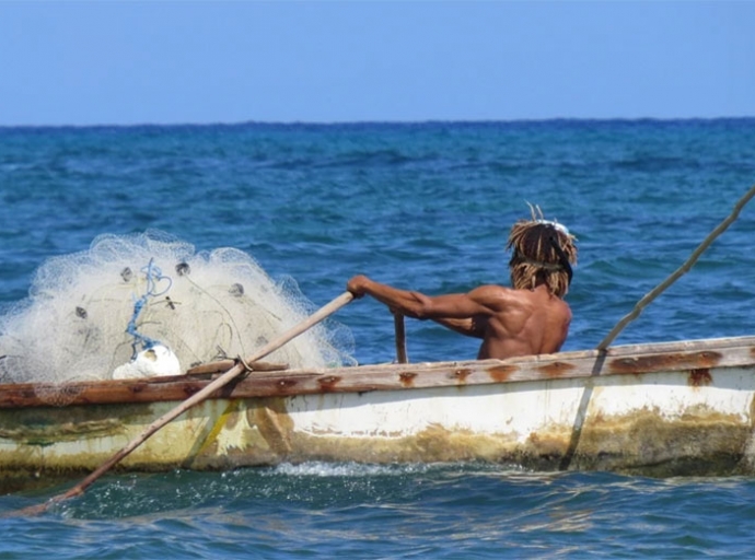 OECS Fisheries Industry to Benefit from Value Chain Studies