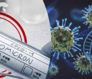 Scientists identify antibodies capable of neutralizing Omicron