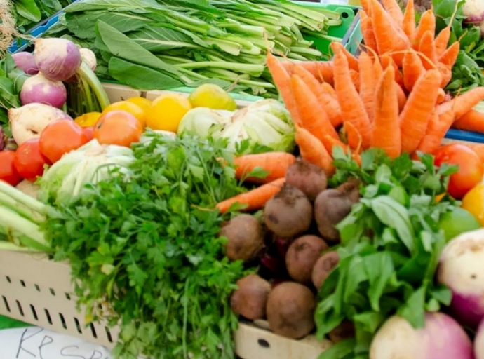 ST VINCENT | St. Vincent and the Grenadines poised to launch first agricultural census in more than 20 years