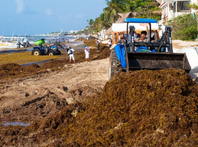 Five Eastern Caribbean Countries Benefit From US$12 Million Sargassum Seaweed Management Fund