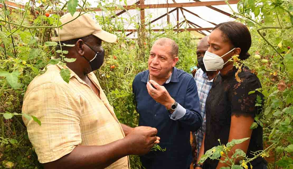 JAMAICA | Minister Shaw Hails Use Of Reclaimed Bauxite Lands For Agriculture