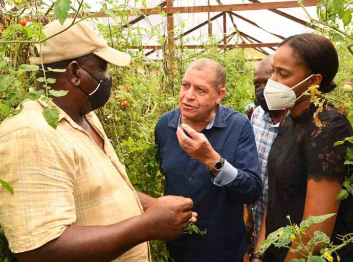 JAMAICA | Minister Shaw Hails Use Of Reclaimed Bauxite Lands For Agriculture