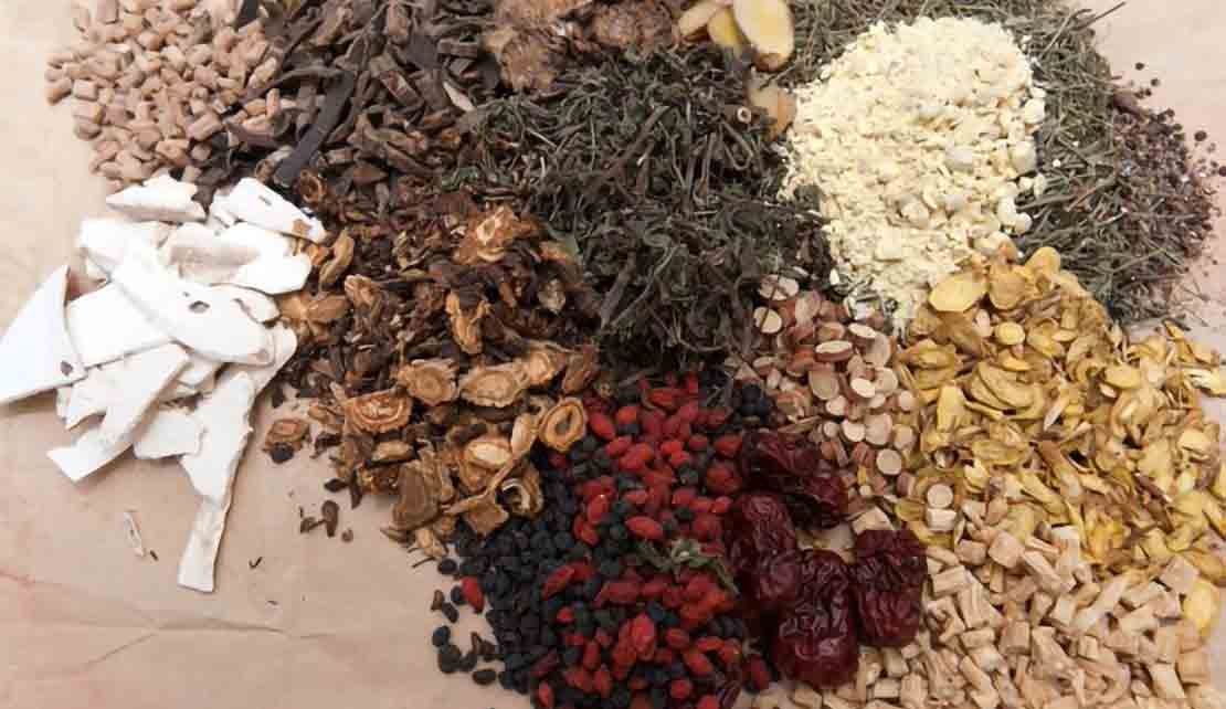 INDIA | WHO to launch Global Centre for Traditional Medicine in India