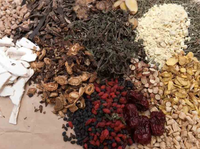 INDIA | WHO to launch Global Centre for Traditional Medicine in India