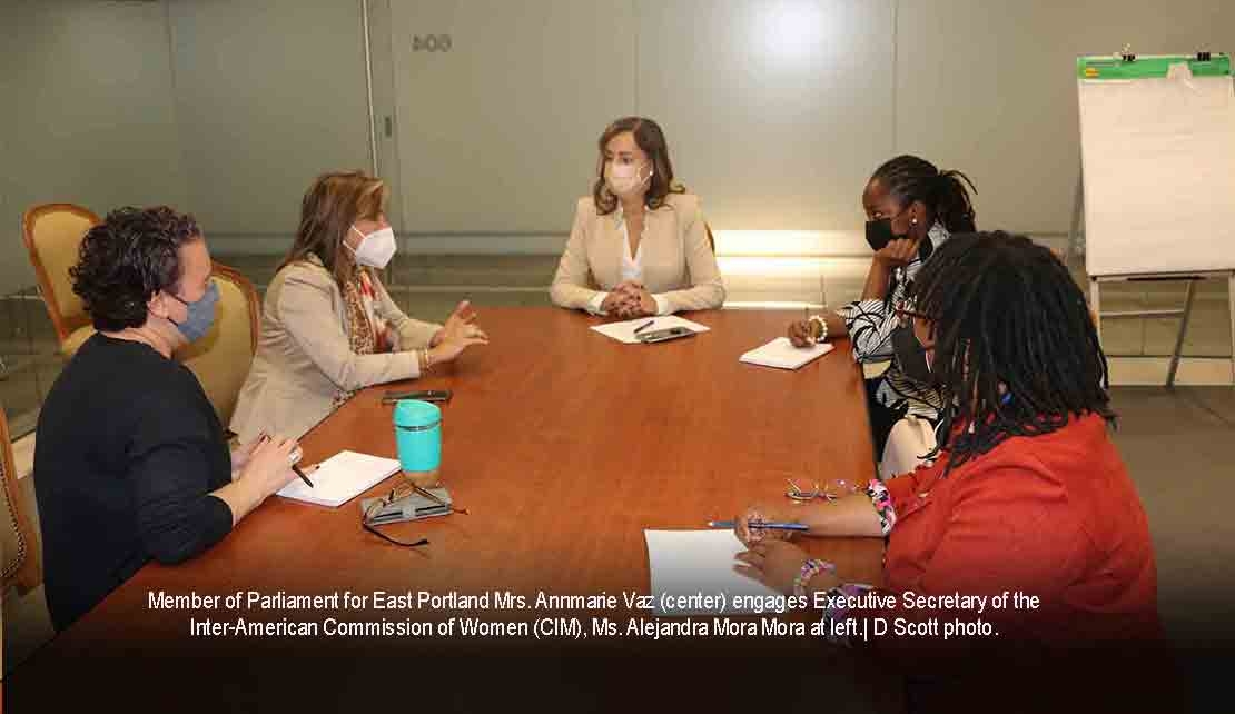 JAMAICA | Vaz commits to re-energizing Jamaica’s participation in the Inter-American Commission of Women (CIM)