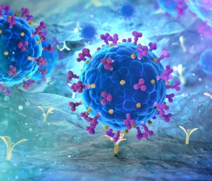 Omicron XE is spreading in the UK – a virologist explains what we know about this hybrid variant