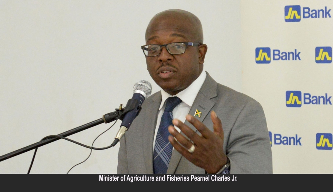JAMAICA | 10.5 Per Cent Growth In Domestic Crop Production For January To March