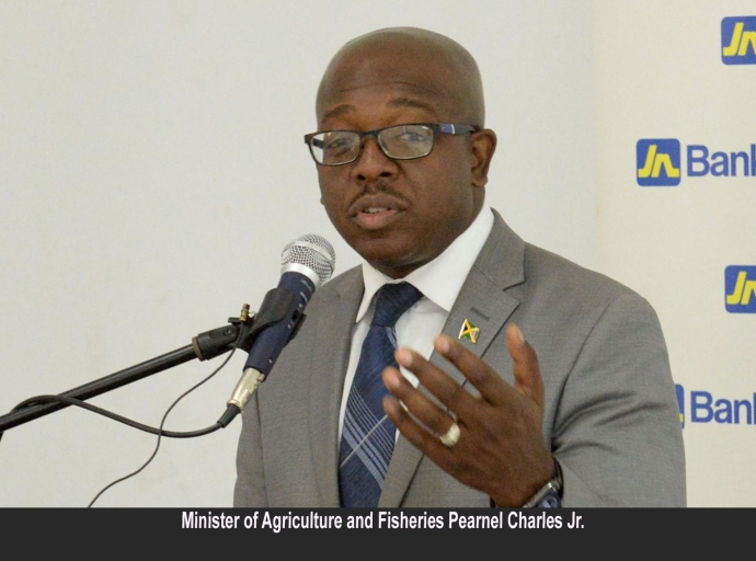 JAMAICA | 10.5 Per Cent Growth In Domestic Crop Production For January To March