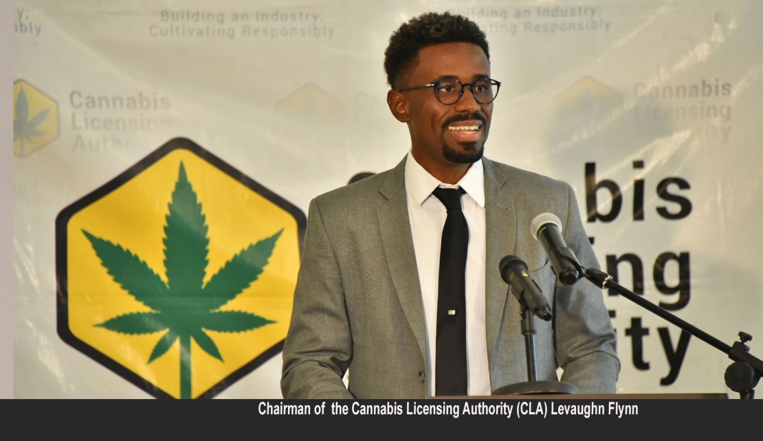 JAMAICA | CLA Projects Increase In Medicinal Cannabis Exports