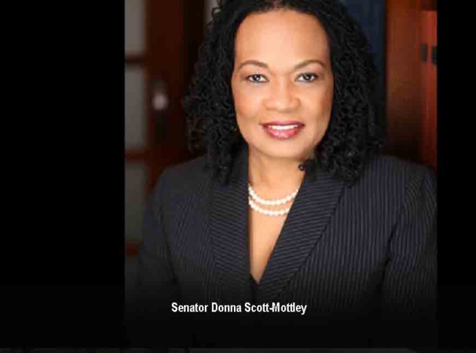 JAMAICA| PNP  notes ruling of the Supreme Court regarding the States of Emergency
