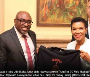 DIASPORA | DC World Reggae Festival set for 20th and 21st August 2022 in Washington DC.