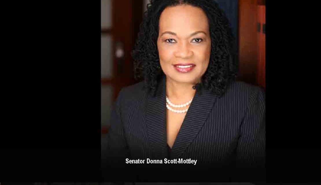 JAMAICA |PNP Challenges Gov't to Reintroduce 2015 Bills to remove Privy Council