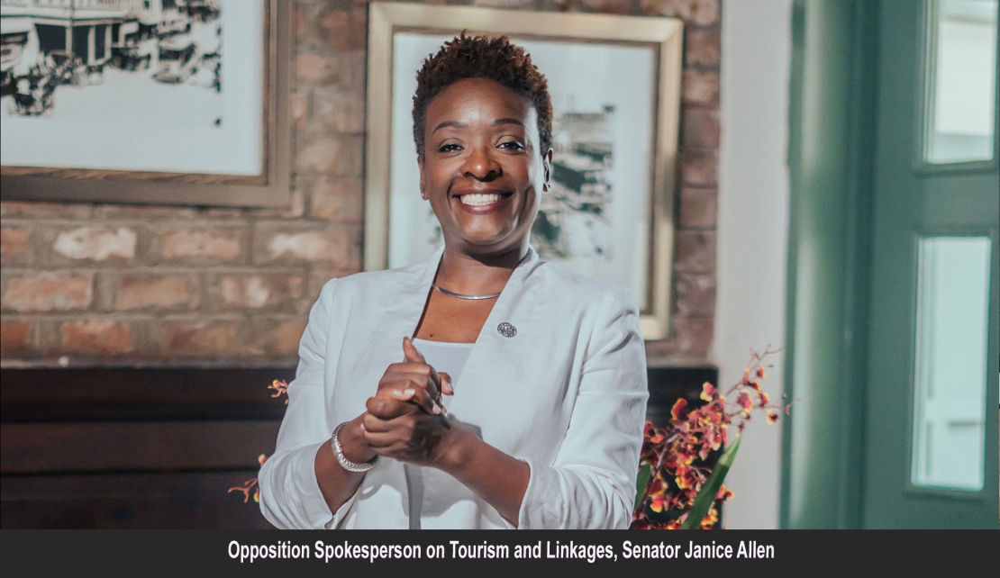 JAMAICA | Fixing Jamaica for Jamaicans will improve our visitor experience says Senator Janice Allen