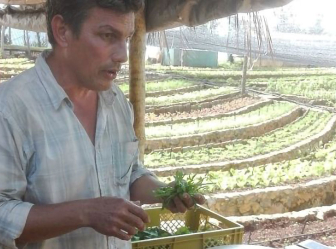 CUBA Embraces Eco-Farming Amid Tightened US Blockade