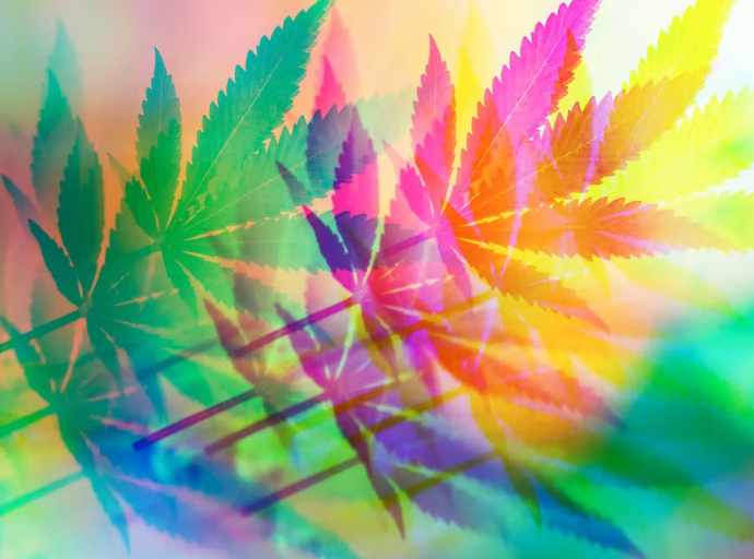 CANNABIS: how it affects our cognition and psychology – new research