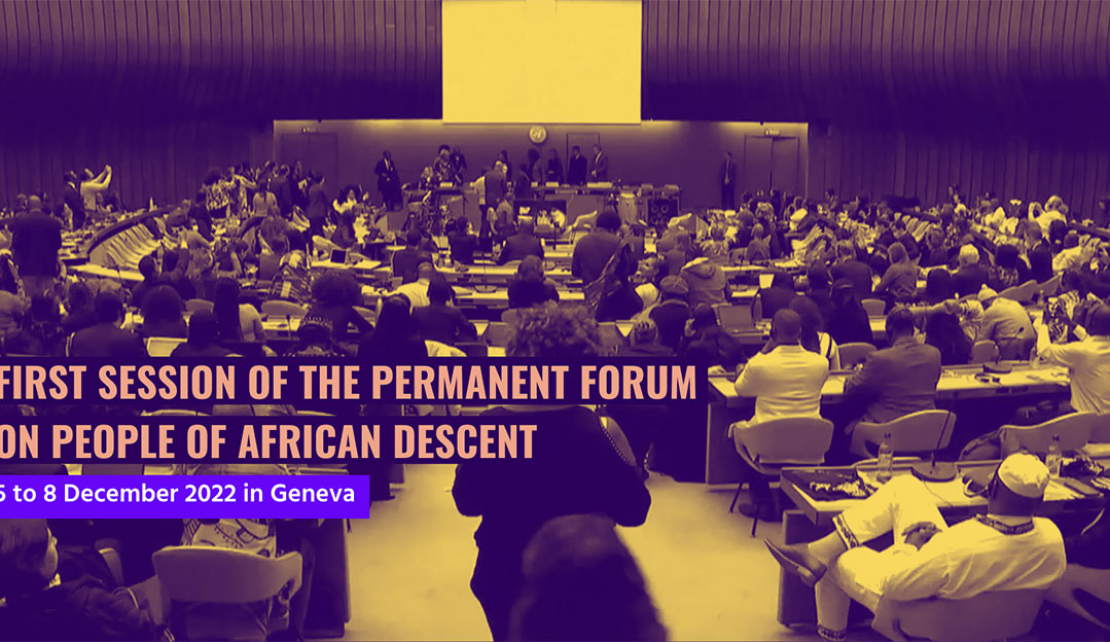GUYANA | The Ali/Jagdeo Regime boycotted Geneva Forum on Combatting Racism due to its Racist Policies says Rickford Burke
