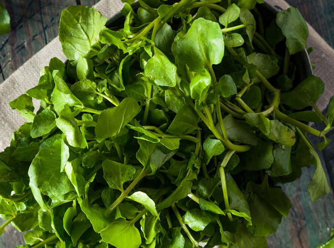 FOODS | CDC declares watercress the healthiest veggie on Earth !