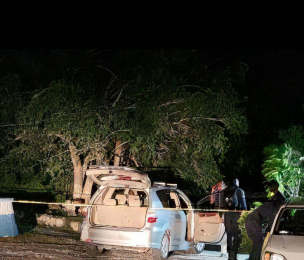 JAMAICA | PNP Condemns Murder of Three in Salt Spring, St. James