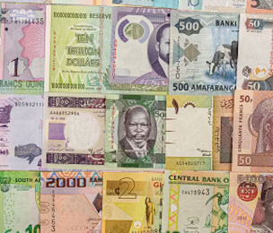 AFRICA'S new online foreign exchange system, enabling cross-border payments in local currencies 
