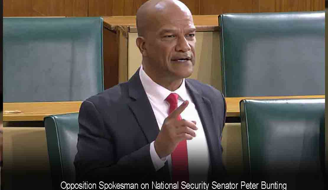 JAMAICA | PNP Senator Peter Bunting blasts "government’s bankrupt Ideas" in crime fighting