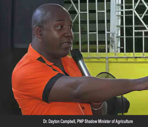 JAMAICA| Dayton Campbell says