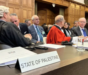 Palestine demands end to Israeli occupation at ICJ hearing