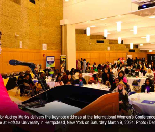 DIASPORA | Jamaica's US Ambassador Champions Women's Economic Empowerment