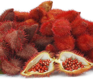 What Is Annatto? Uses, Benefits, and Side Effects