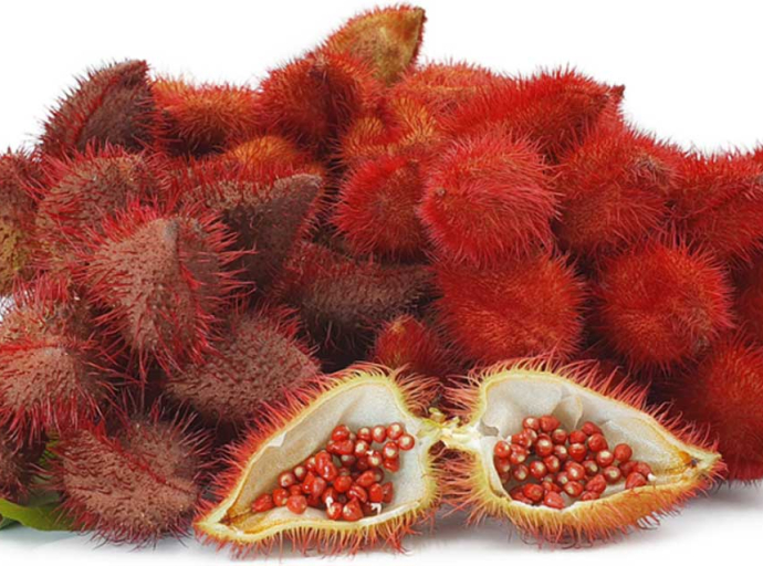 What Is Annatto? Uses, Benefits, and Side Effects
