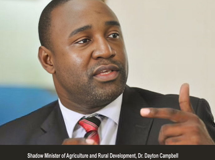 JAMAICA | PNP Concerned Over Government's Plan to Divest AMC Facility