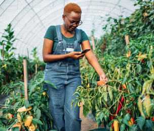 JAMAICA Seems Blind to CARICOM’s Food Import Reduction Vision