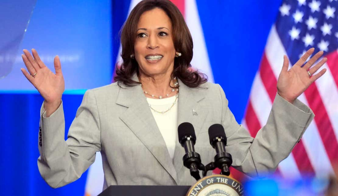 United States | Twice as good for half the respect: Kamala Harris’ battle for the White House