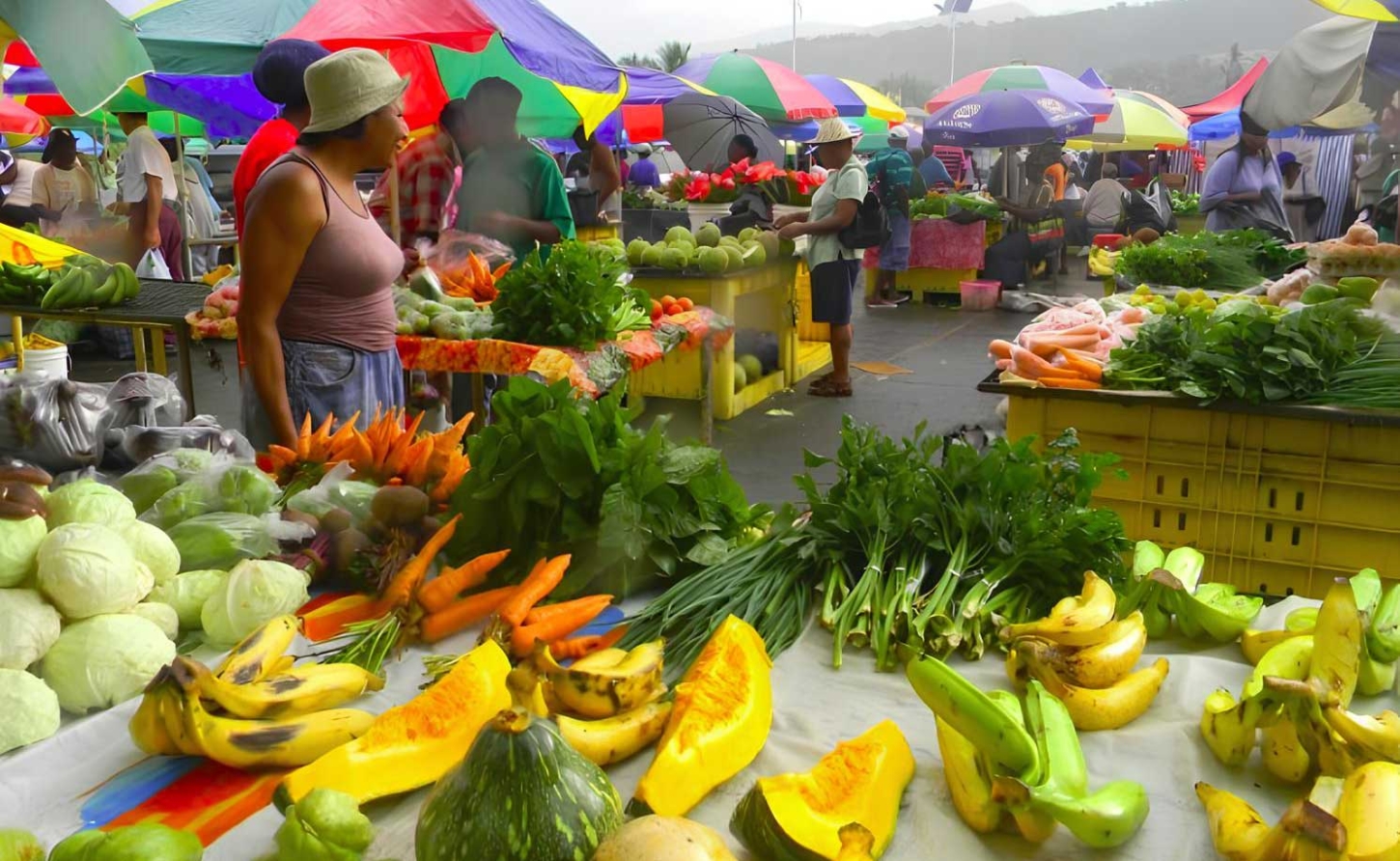 JAMAICA 'S Harvest of Neglect- Time to End the Cycle of Agricultural Waste