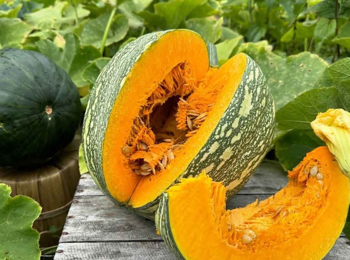 HEALTH | The Mighty Seed: Why Pumpkin Seeds Deserve a Place on Every Caribbean Plate