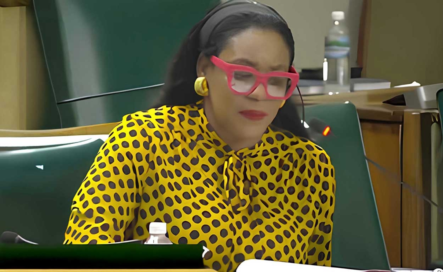 Member of Parliament for Eastern Hanover and  Opposition spokesperson for Tourism and Linkages, Andrea Purkiss