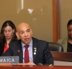 CARIBBEAN | Jamaica Calls for Reparatory Justice at OAS Slavery Remembrance Commemoration