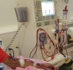 CARIBBEAN | The Party That Kills: How Energy Drinks Are Destroying Caribbean Kidneys