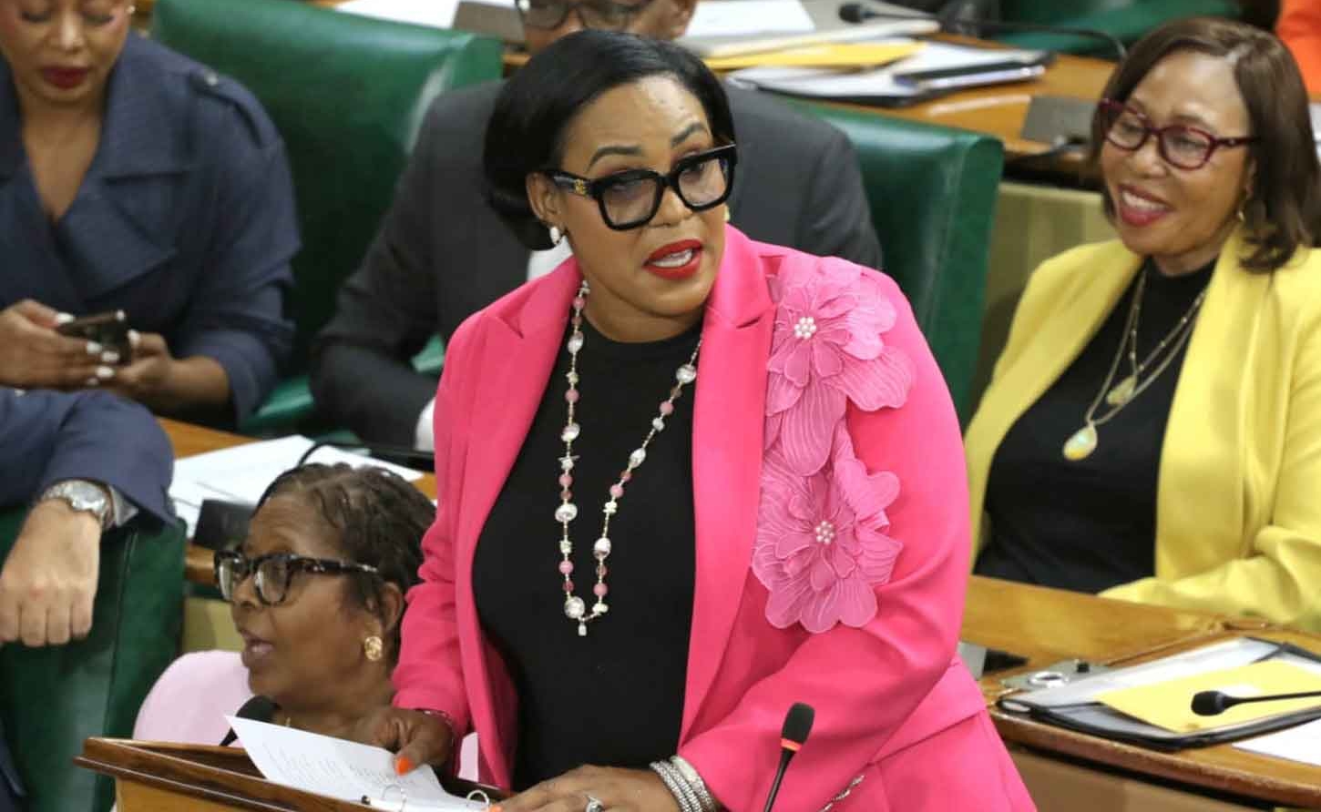 Opposition Spokesperson on Tourism and Linkages, East Hanover MP Andrea Purkiss