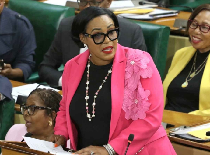 Opposition Spokesperson on Tourism and Linkages, East Hanover MP Andrea Purkiss