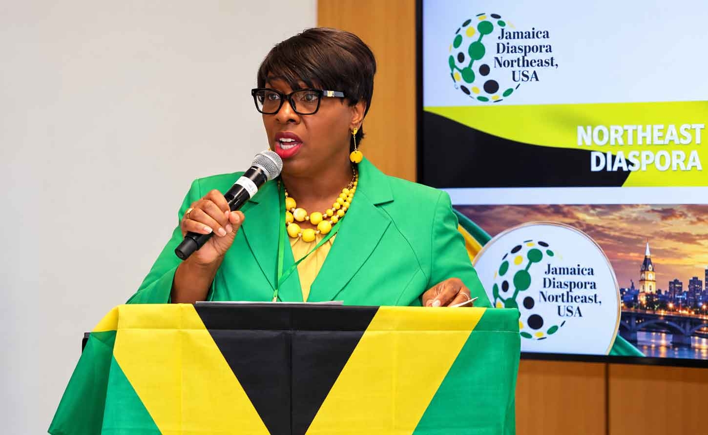 DIASPORA | Elected Abroad, Confirmed in Kingston: Who Really Runs Jamaica’s Diaspora Council