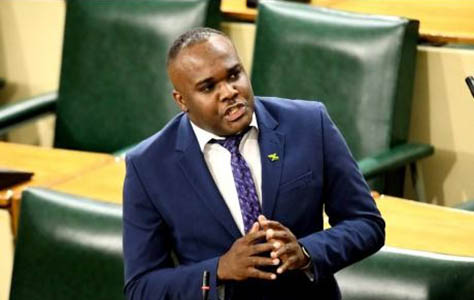JLP Senator Abka Fitz Henley launched a personal attack against Senator Donna Scott Mottley.