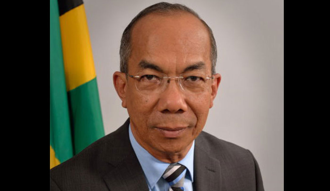National Security Minister Dr. Horace Chang said 2019 figures showed that almost 200 illegal firearms were entering the country monthly.
