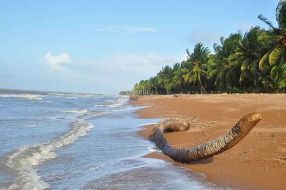 The Guyanese coast could be inundated with oil in the event of a disaster in Exxon’s offshore drilling operations.