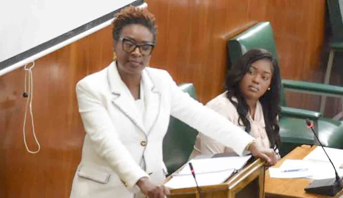 “The recent ruling by our Courts with respect of Private Security Guards not being Independent Contractors but employees reads ominously for the Tourism Sector,” says Senator Janice Allen.