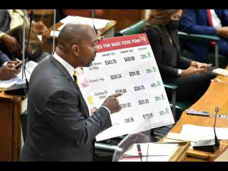 Opposition spokesman on finance Julian Robinson outlining to parliament the rising of prices in the cost of food items to the Jamaican public.