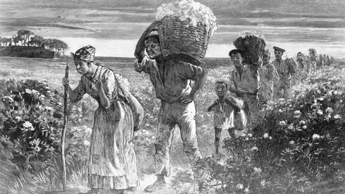 Slavery had become the economic engine for the development of the british economy.